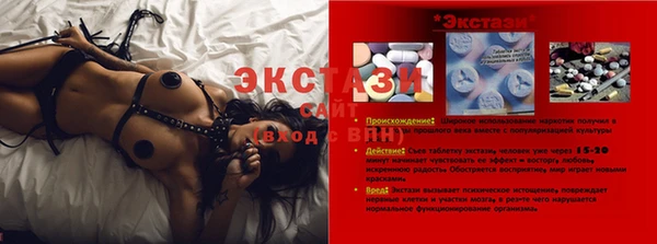индика Вязники