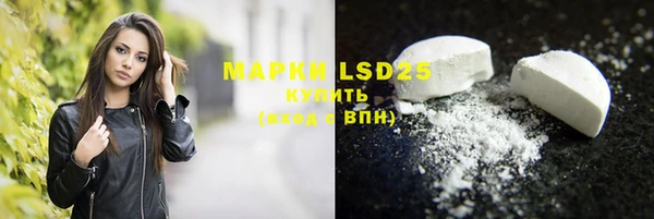 индика Вязники