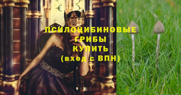 стафф Горняк