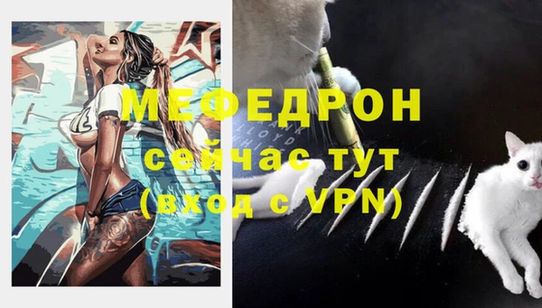 индика Вязники