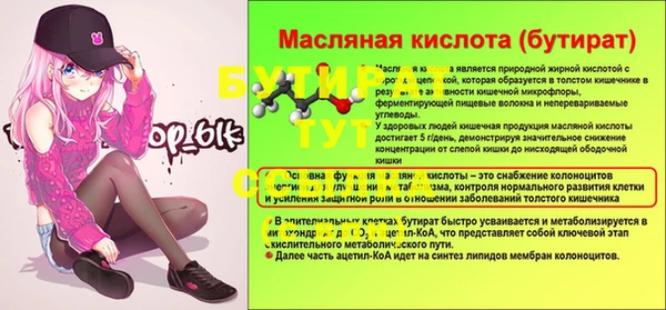индика Вязники