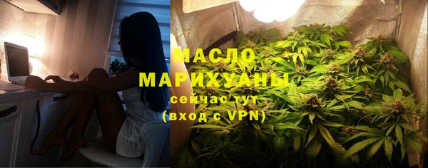 индика Вязники