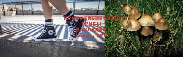 герыч Вяземский