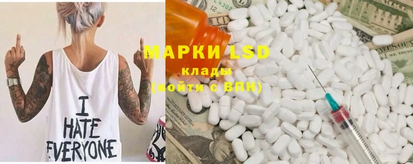 индика Вязники