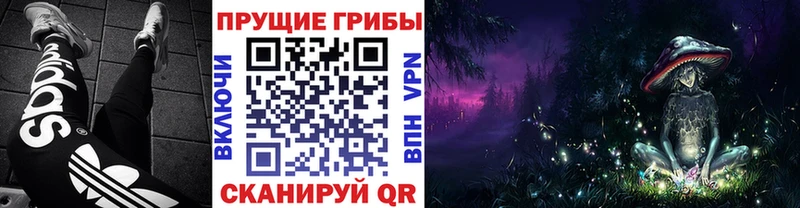Галлюциногенные грибы MAGIC MUSHROOMS Ивангород