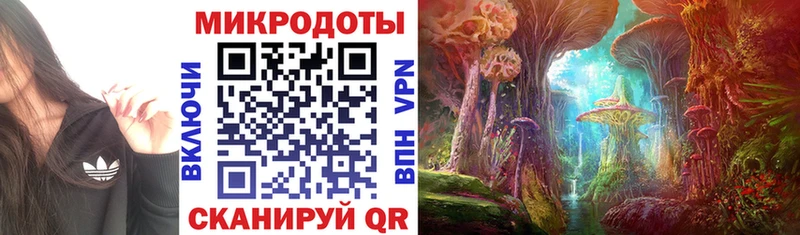 Псилоцибиновые грибы Magic Shrooms  Ивангород 
